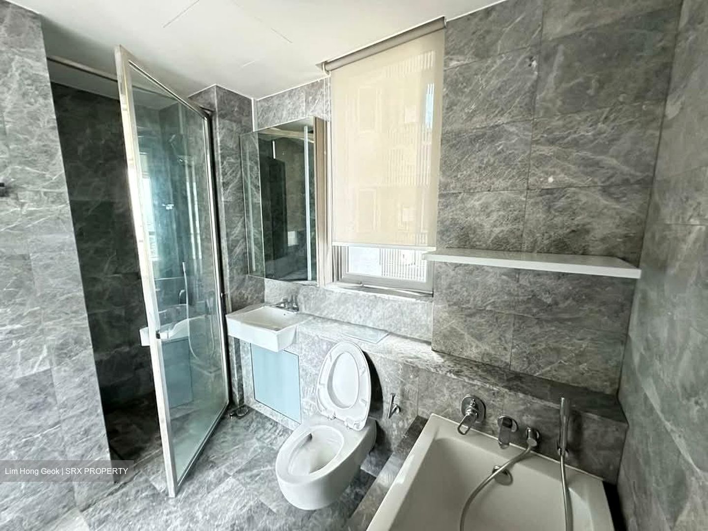 Skyline Residences (D4), Condominium #585357731